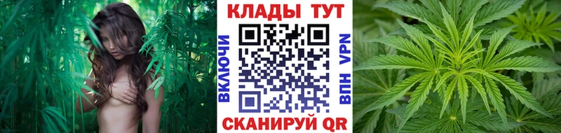Хочу наркоту Белгород Альфа ПВП Канабис Cocaine Амфетамин Гашиш Меф мяу мяу