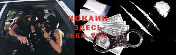 крисы Алексин