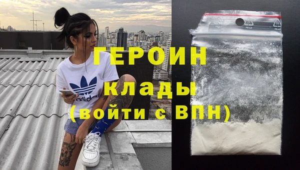 шишки Няндома