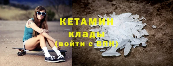 крисы Алексин