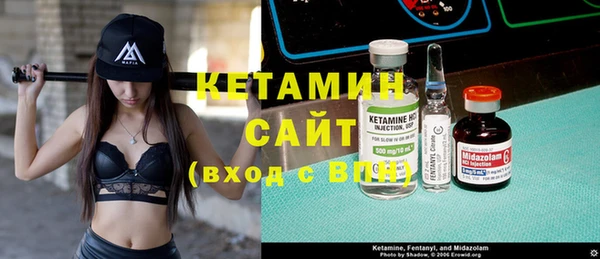 крисы Алексин